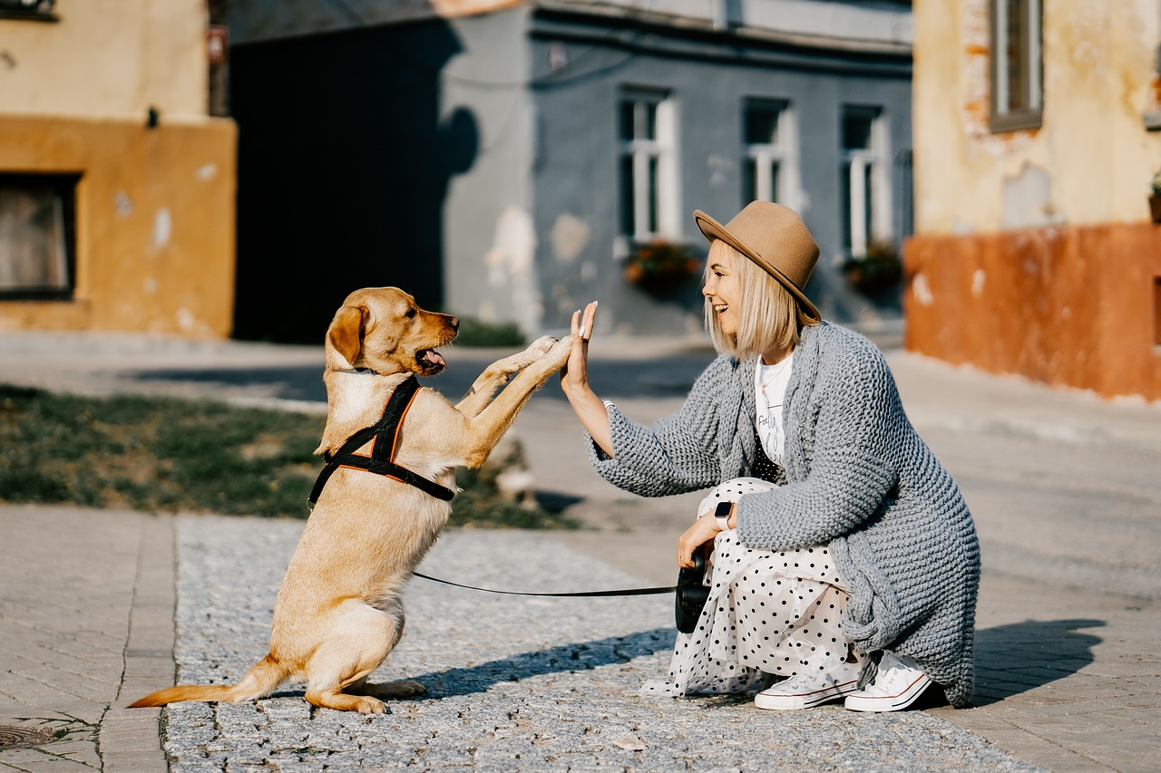 Pet Insurance - Cost