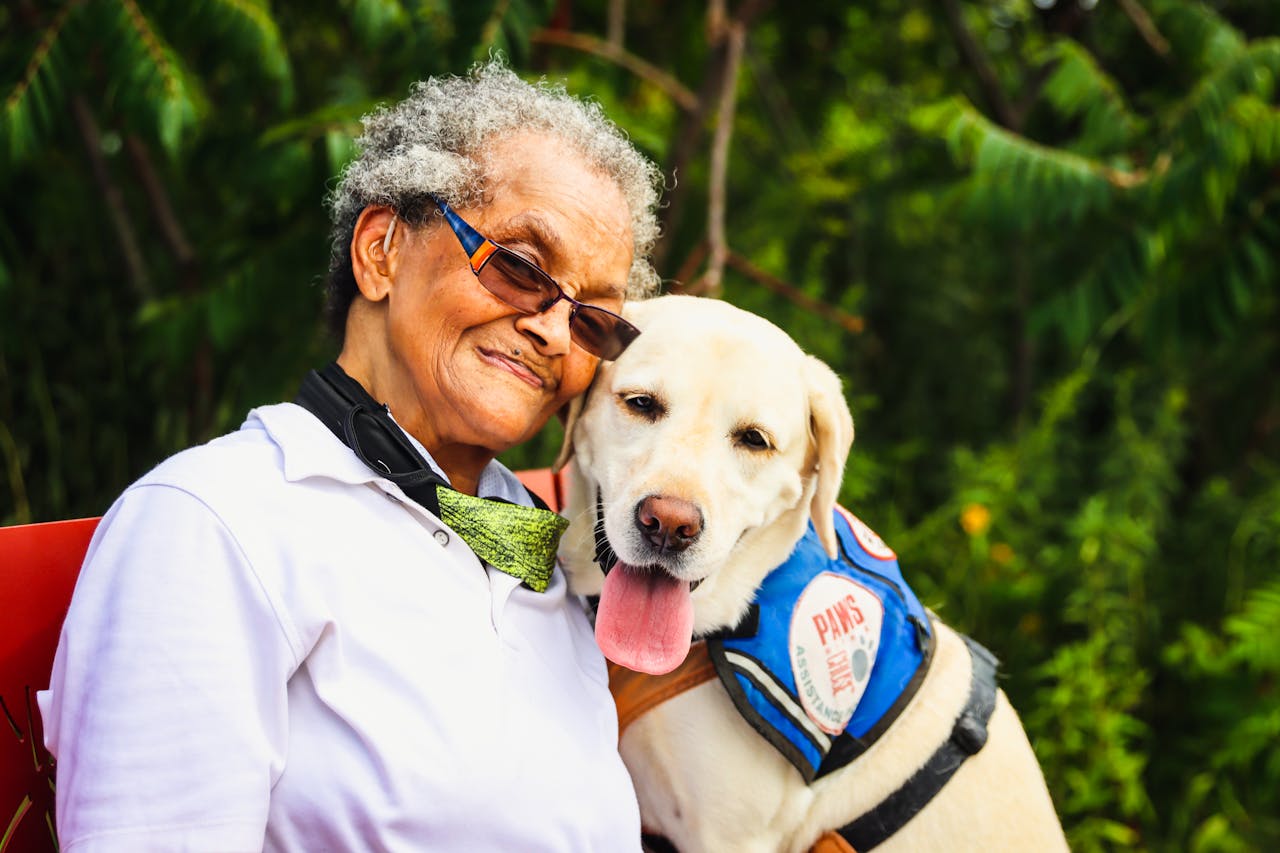 Pet Insurance - Insuring Senior Pets