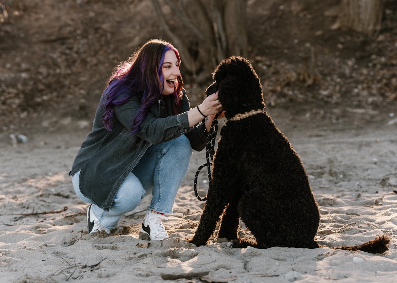 Pet Insurance Guide