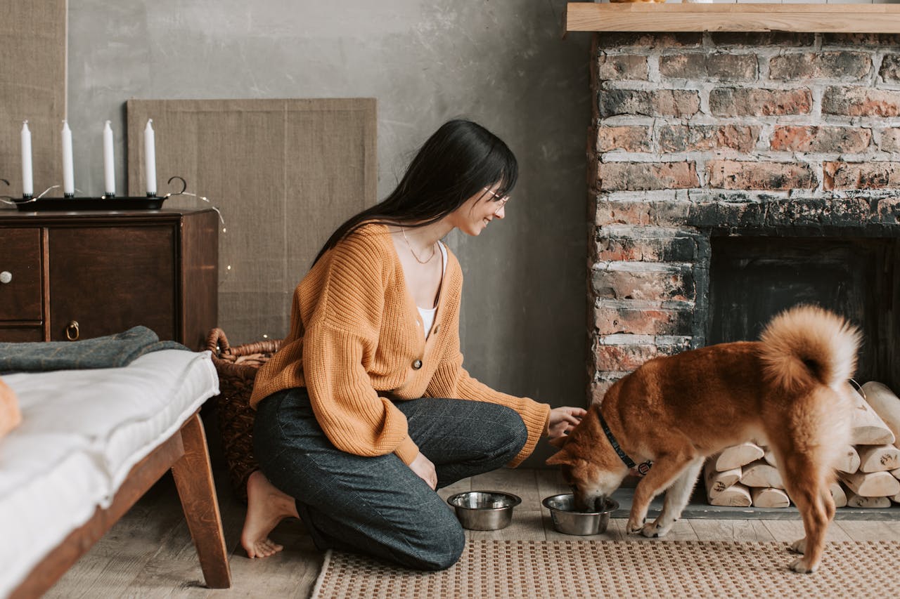 Pet Insurance - Healthiest Food to Feed Your Dog