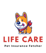 Life Care